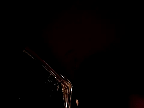 ILUV2TUCHMYKITTY online show from January 2025 11:26:02 AM