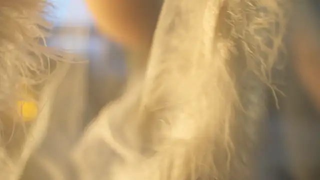 Faster maci online show from January 2025 02:30:02 PM