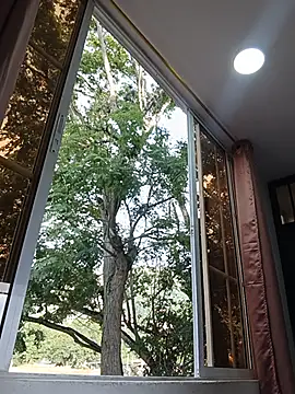 sexy-latin10 online show from July 2026 11:52:01 AM