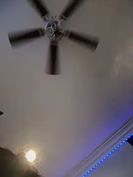ThicBunz online show from June 2026 02:28:01 AM