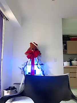 Snapshot of MrCalicoTV chatting on December 2024 08:05:02 PM MrCalicoTV online show from December 2024 08:05:02 PM