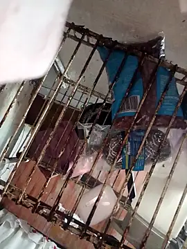 Snapshot of LunaDrago chatting on February 2025 12:51:02 AM LunaDrago online show from February 2025 12:51:02 AM