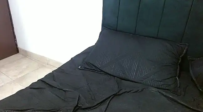 Snapshot of Hendry_ chatting on December 2024 07:43:01 AM Hendry online show from December 2024 07:43:01 AM