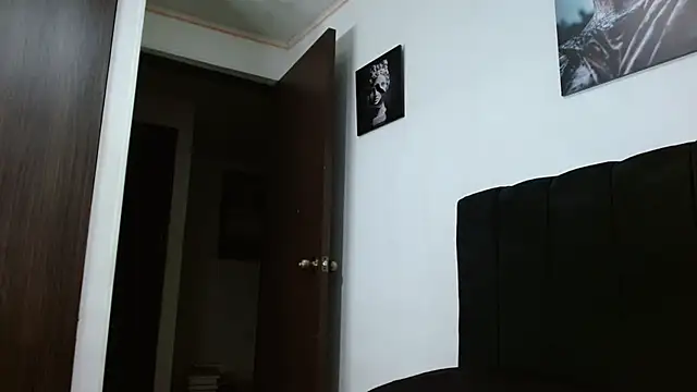 Snapshot of Hendry_ chatting on January 2025 01:33:01 AM Hendry online show from January 2025 01:33:01 AM