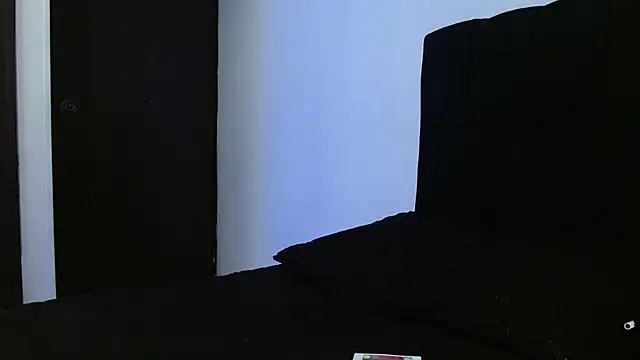 Snapshot of Hendry_ chatting on March 2025 04:17:02 AM Hendry online show from March 2025 04:17:02 AM