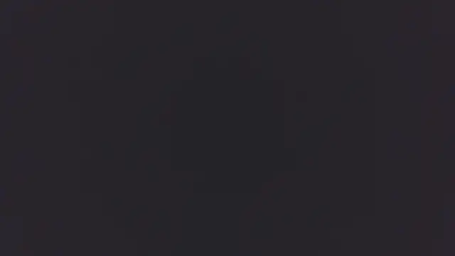 0SEANX online show from June 2026 02:53:01 AM
