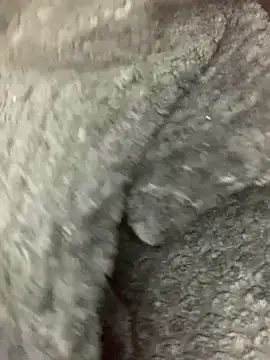 cardibabe online show from October 2025 10:40:02 PM