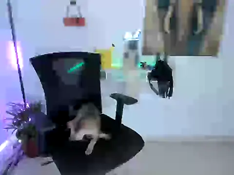 Snapshot of nairobbits chatting on October 2025 01:09:01 PM nairobbits online show from October 2025 01:09:01 PM