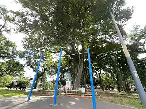 Siriss boyrag online show from February 2026 08:53:01 PM