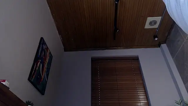 Ian Daviz online show from February 2025 10:50:01 PM