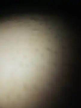 Gostosooooooooooso online show from May 2026 05:10:02 PM
