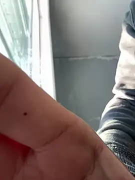 Snapshot of SmokingSloth chatting on January 2025 09:22:01 PM SmokingSloth online show from January 2025 09:22:01 PM