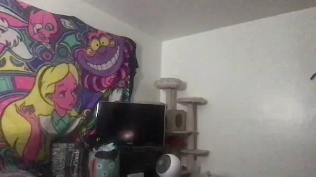 SpunCandy online show from May 2026 08:50:02 PM
