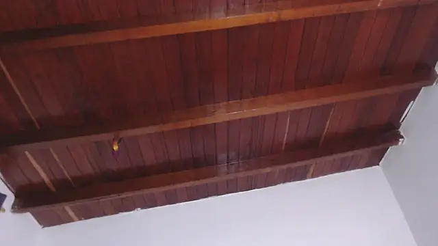 Amara Red online show from September 2025 03:01:01 PM