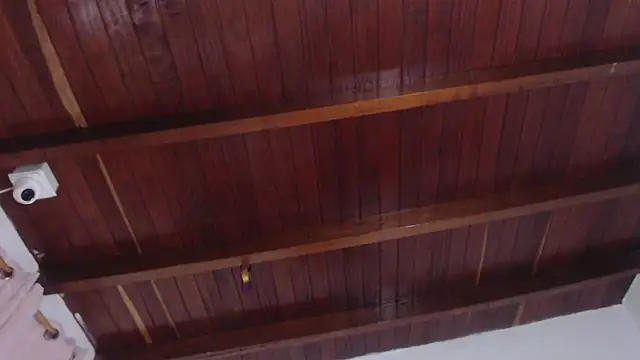 Amara Red online show from November 2025 11:23:02 AM