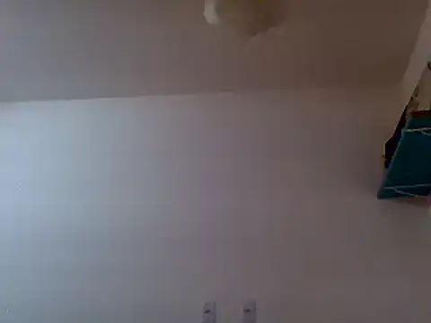 Snapshot of couplemilk chatting on February 2025 04:42:01 AM couplemilk online show from February 2025 04:42:01 AM