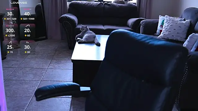 Naughty-Kitty1 online show from July 2026 06:23:01 PM