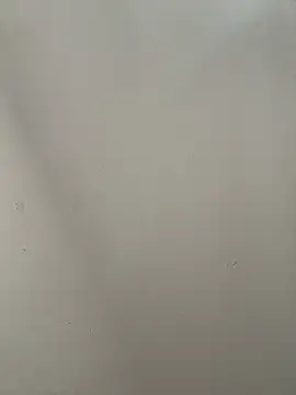 Snapshot of mint_melissaaa chatting on October 2025 04:50:01 PM mint melissaaa online show from October 2025 04:50:01 PM