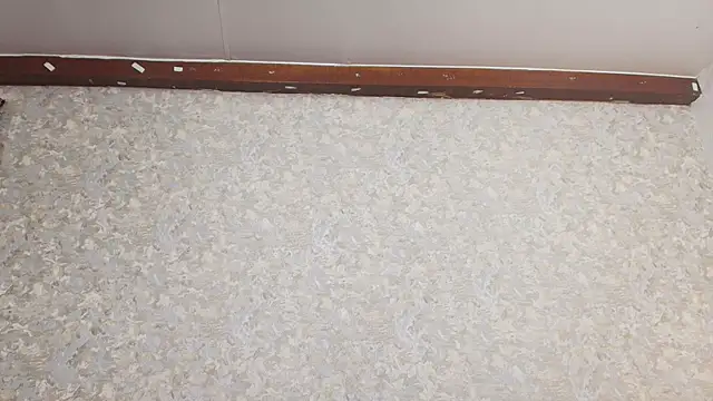 Snapshot of nicol_f chatting on March 2025 01:31:02 AM nicol f online show from March 2025 01:31:02 AM