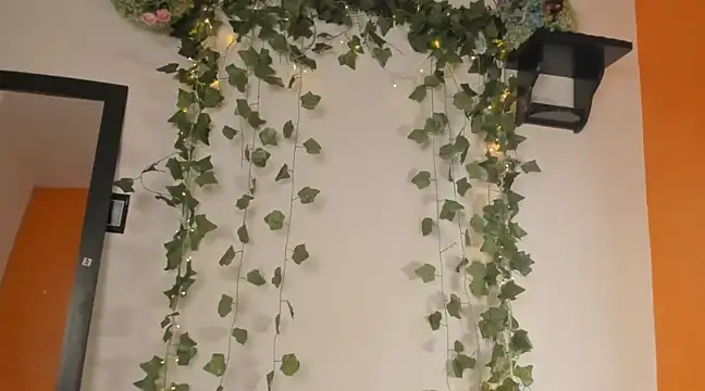 Cataleya19   online show from January 2025 03:08:02 PM