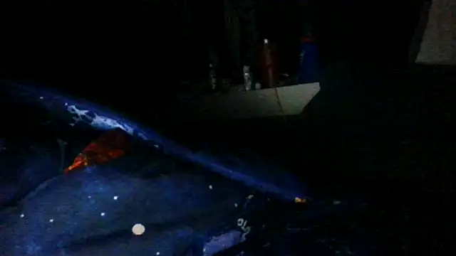 Snapshot of toast843 chatting on February 2025 06:22:01 AM toast843 online show from February 2025 06:22:01 AM