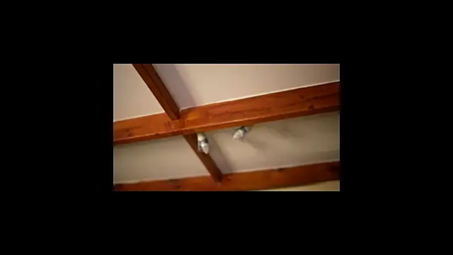 Bellis Perenis online show from February 2026 09:30:01 AM