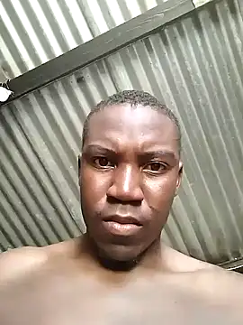 king shrek online show from February 2025 09:52:01 AM