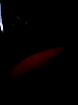 Snapshot of pascalino100 chatting on April 2026 12:02:01 PM pascalino100 online show from April 2026 12:02:01 PM