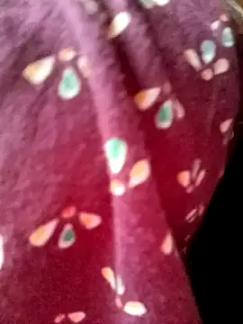 Beautyy38 online show from March 2025 07:49:02 PM