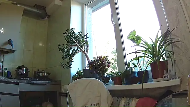 BroadFantasy online show from September 2025 01:22:02 PM