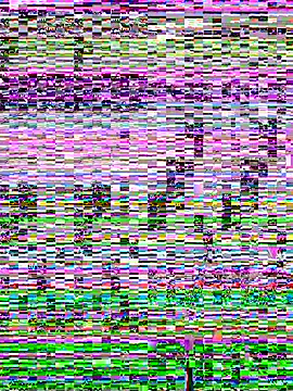 SandraCarter online show from June 2026 07:12:01 AM