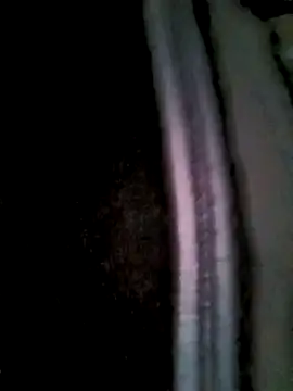 Snapshot of Fuckmehard2xx chatting on March 2025 09:42:01 AM Fuckmehard2xx online show from March 2025 09:42:01 AM