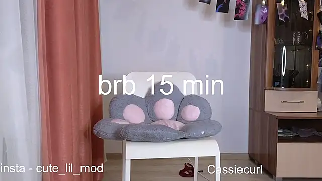 Snapshot of art_phoenix chatting on December 2024 07:36:01 PM art phoenix online show from December 2024 07:36:01 PM