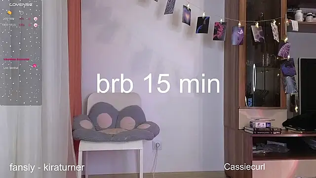 Snapshot of art_phoenix chatting on February 2025 07:49:02 PM art phoenix online show from February 2025 07:49:02 PM