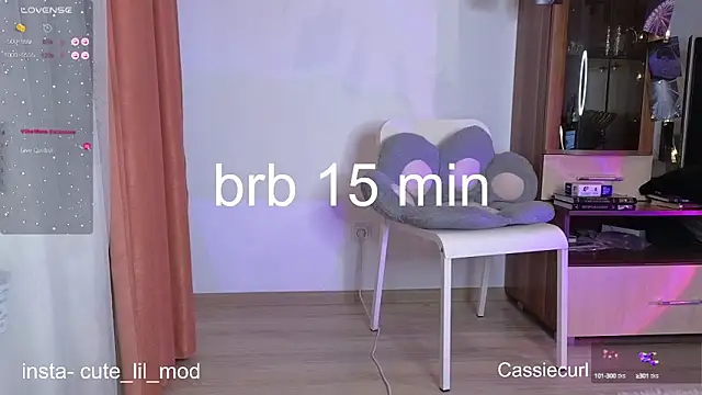 Snapshot of art_phoenix chatting on February 2025 08:07:02 PM art phoenix online show from February 2025 08:07:02 PM