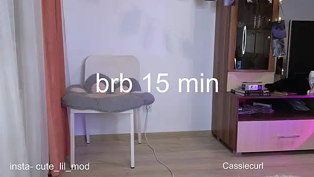 Snapshot of art_phoenix chatting on March 2025 09:06:02 PM art phoenix online show from March 2025 09:06:02 PM