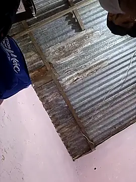 Snapshot of Sur1711 chatting on January 2026 07:17:01 PM Sur1711 online show from January 2026 07:17:01 PM