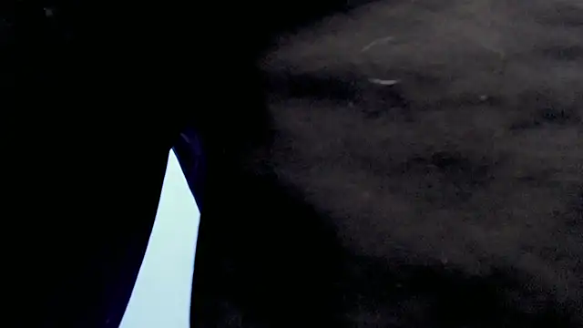 Jake tripp online show from September 2025 04:17:02 AM