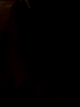 Snapshot of whvysky3 chatting on January 2025 04:15:01 PM whvysky3 online show from January 2025 04:15:01 PM