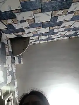 Snapshot of whvysky3 chatting on February 2026 05:44:01 PM whvysky3 online show from February 2026 05:44:01 PM