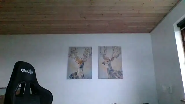 Snapshot of Gotta1 chatting on January 2025 02:38:02 PM Gotta1 online show from January 2025 02:38:02 PM