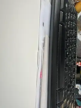 Snapshot of byakkotorra chatting on March 2025 04:38:02 PM byakkotorra online show from March 2025 04:38:02 PM