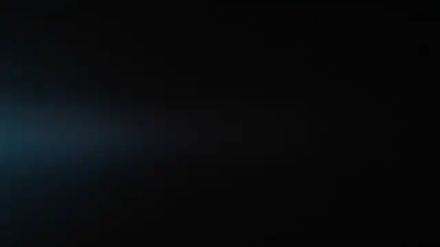 fancy bunny online show from March 2026 08:37:02 AM