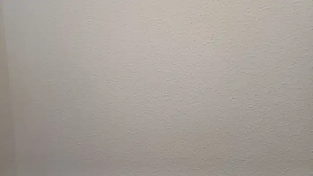 Bigass skir online show from January 2025 06:00:01 PM