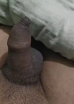 Snapshot of iaparna chatting on December 2024 06:38:02 PM iaparna online show from December 2024 06:38:02 PM