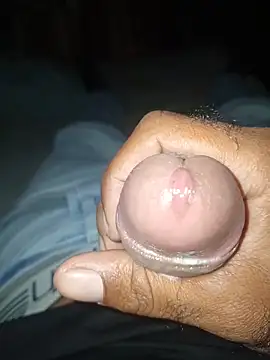 taylorWiiz online show from November 2025 03:38:01 AM