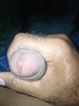 taylorWiiz online show from November 2025 06:31:02 PM