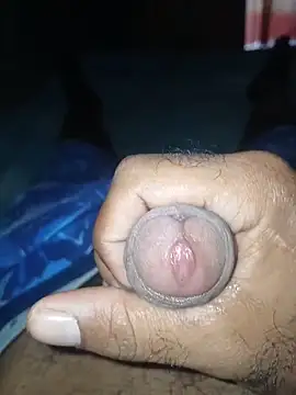 taylorWiiz online show from January 2026 01:59:01 PM