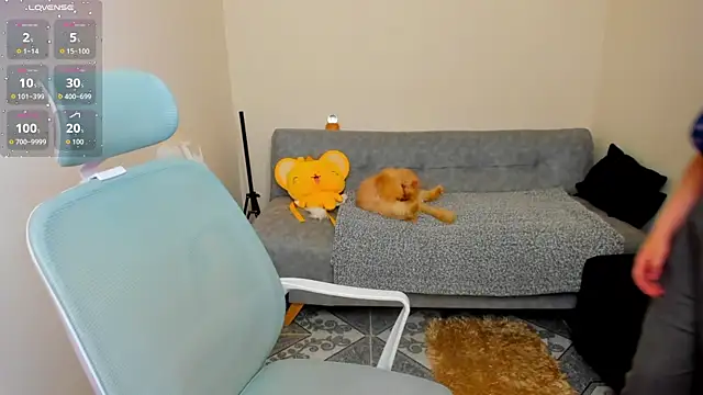Sofiskies online show from June 2026 01:01:02 AM
