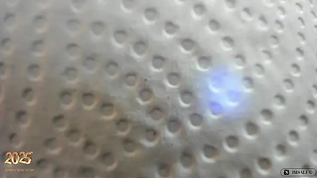 Sali g online show from December 2024 01:08:02 PM